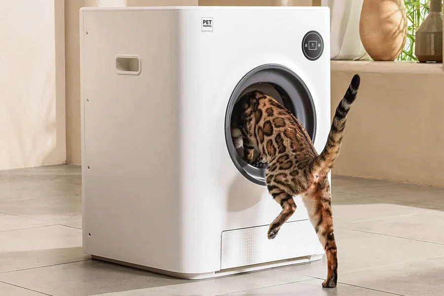 Navigating the World of Feline Hygiene with the Best Multi Cat Litter Box